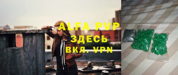 индика Апатиты
