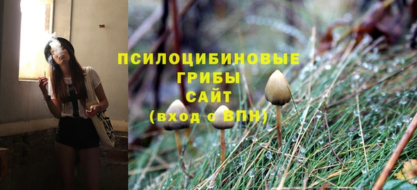 мяу мяу кристалл Анива