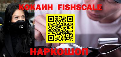 a pvp Камышлов