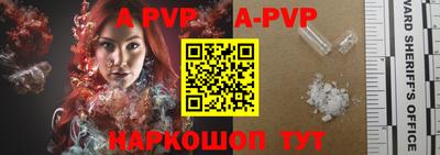 a pvp Камышлов