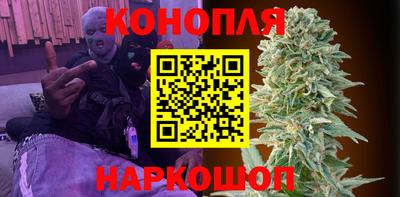 a pvp Камышлов