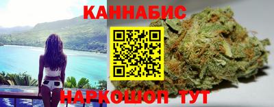 a pvp Камышлов
