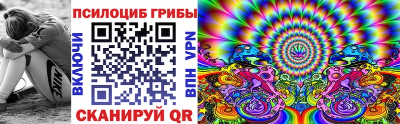 Галлюциногенные грибы Psilocybe  Карасук 