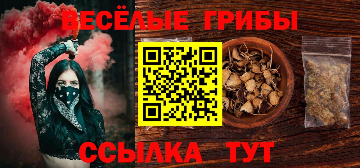 Псилоцибиновые грибы мухоморы  Псилоцибиновые грибы Cubensis  Карасук  Вход с VPN 