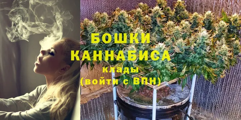 Канабис OG Kush  OMG онион  Карасук 